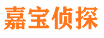 沿滩市调查公司